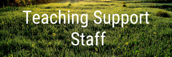 Teaching support staff banner